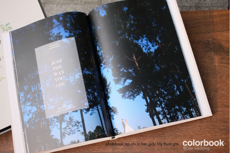 Bộ sưu tập PHOTOBOOK TẠP CHÍ NGHỆ THUẬT_Giấy Art Gân Ne _Bìa Len in màu